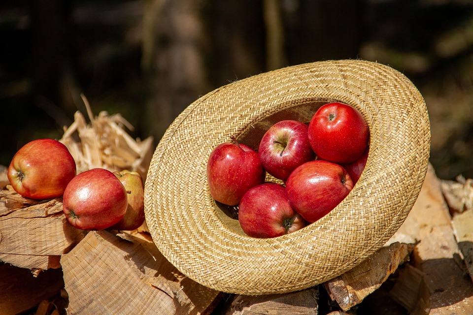 food background