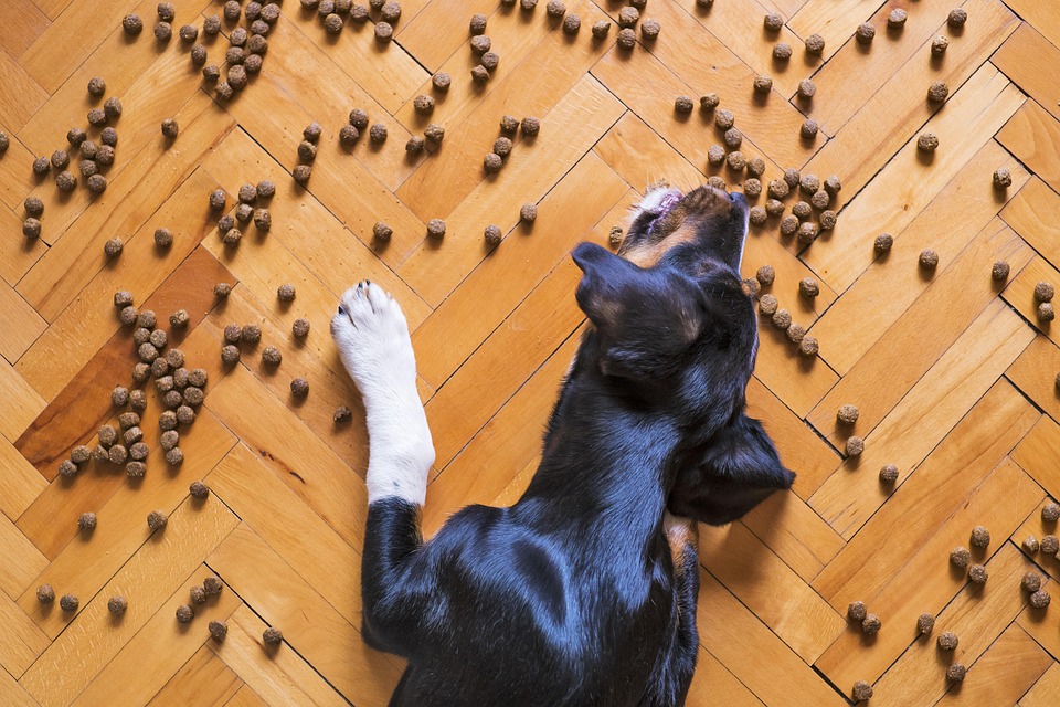 food background